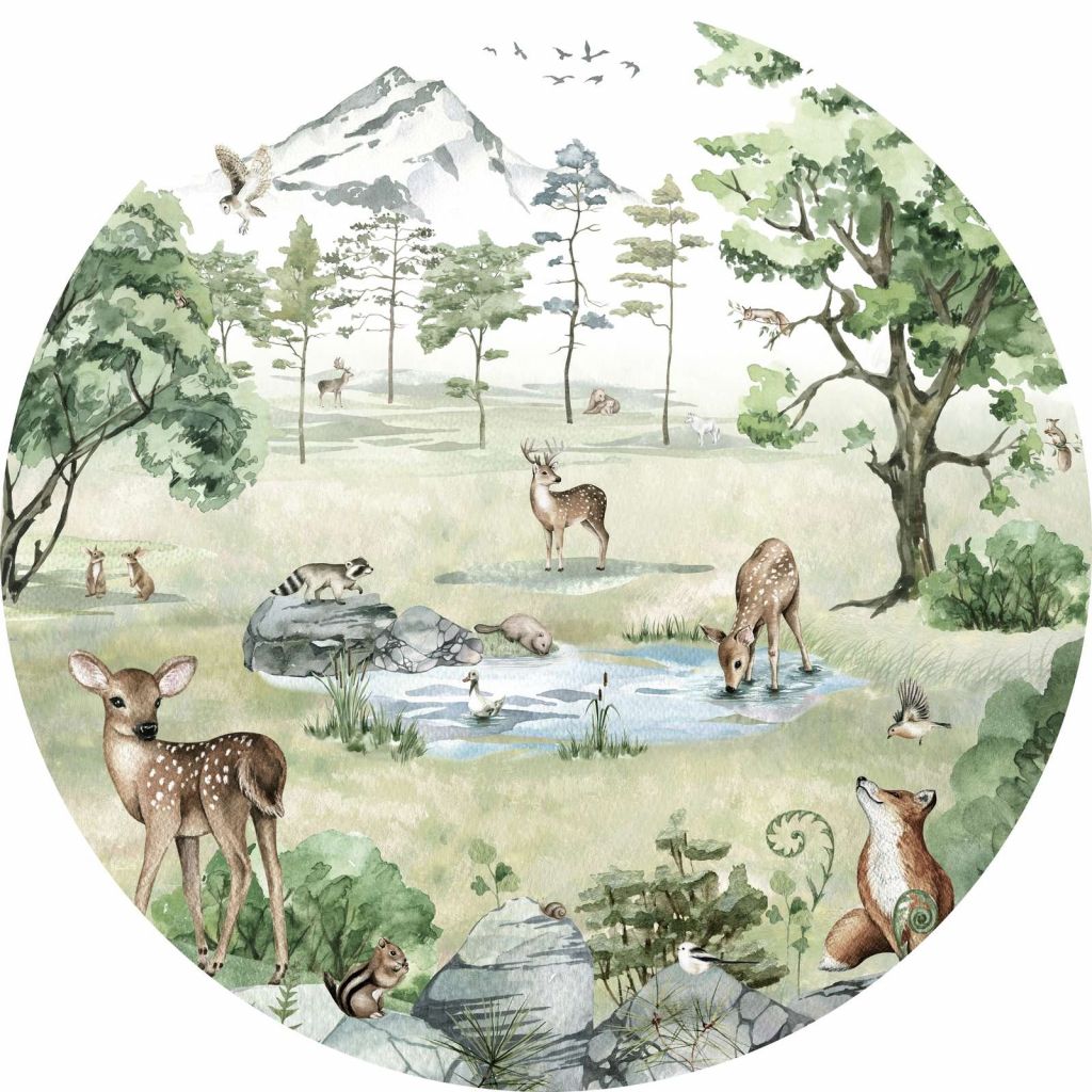 Deer Forest - Summer - Circle