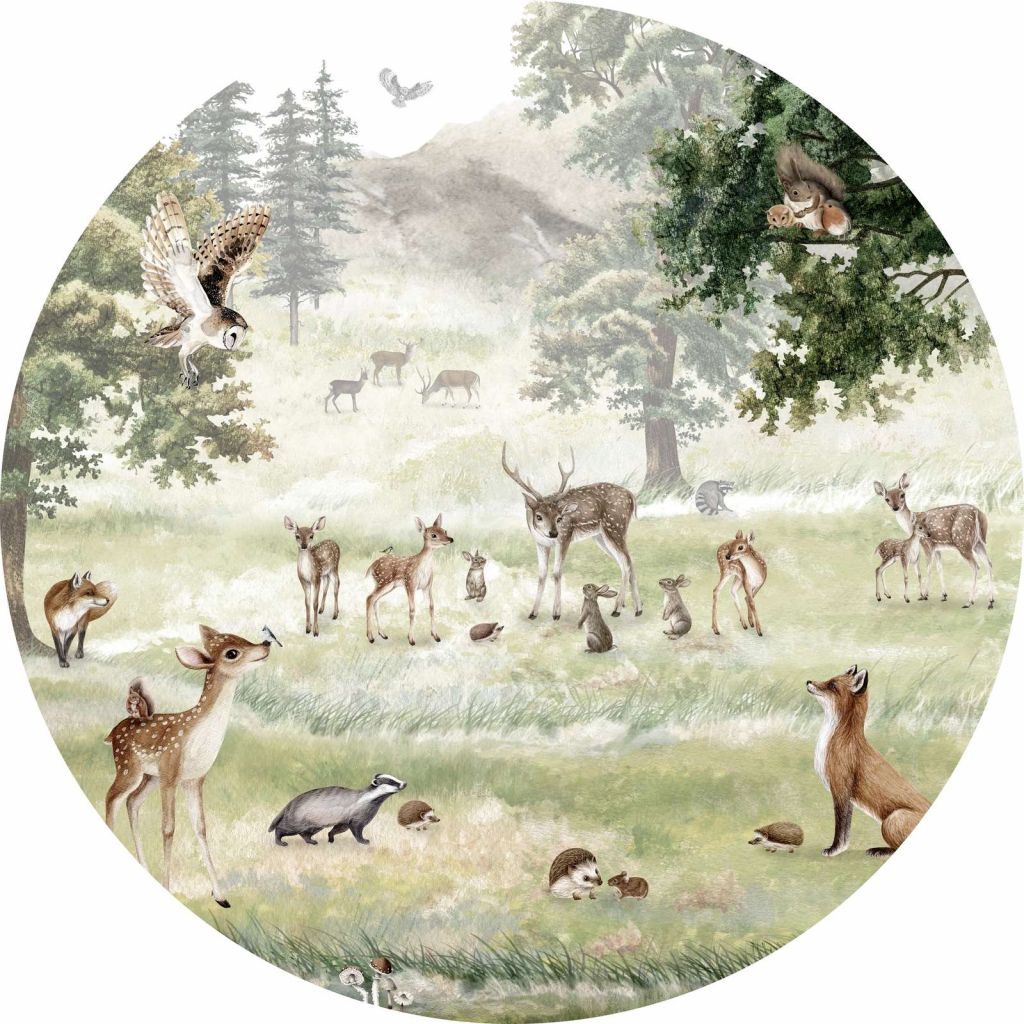 Forest Fun - Circle