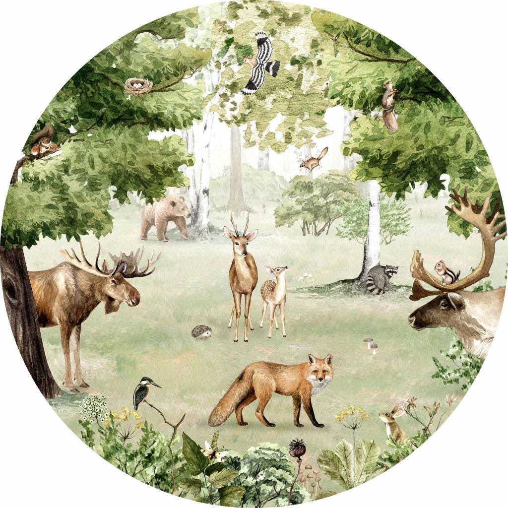 Woodland Wonders - Circle