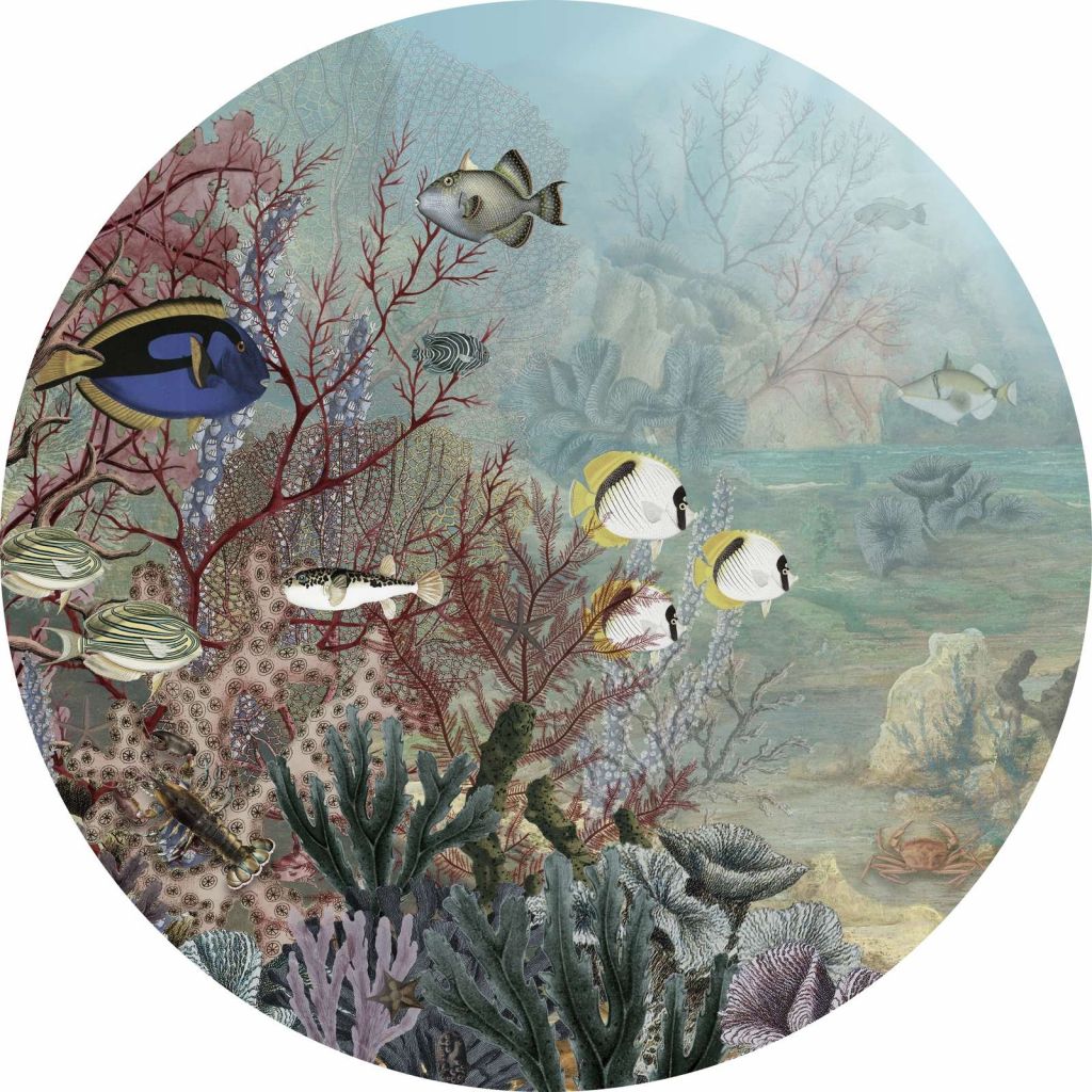 Coral Creatures - Circle