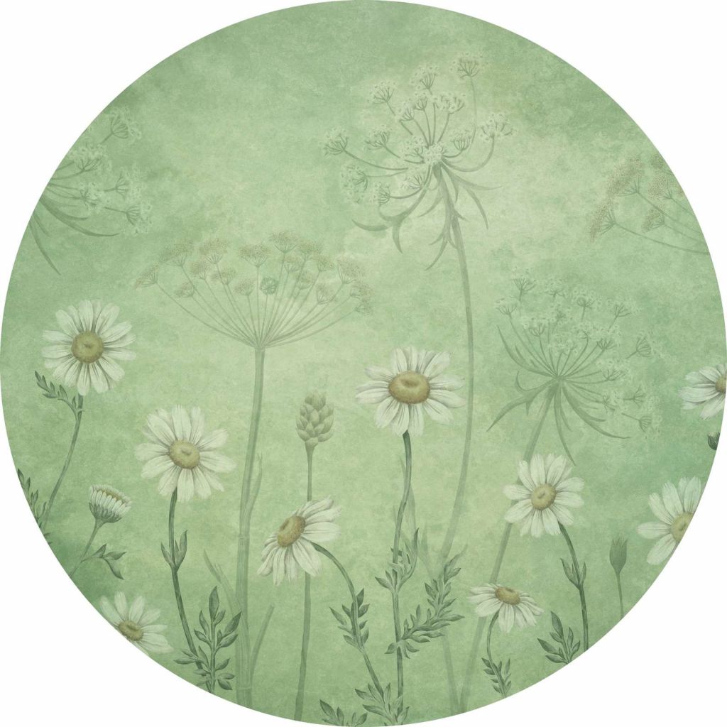 Dazzling Daisies - Green - Circle