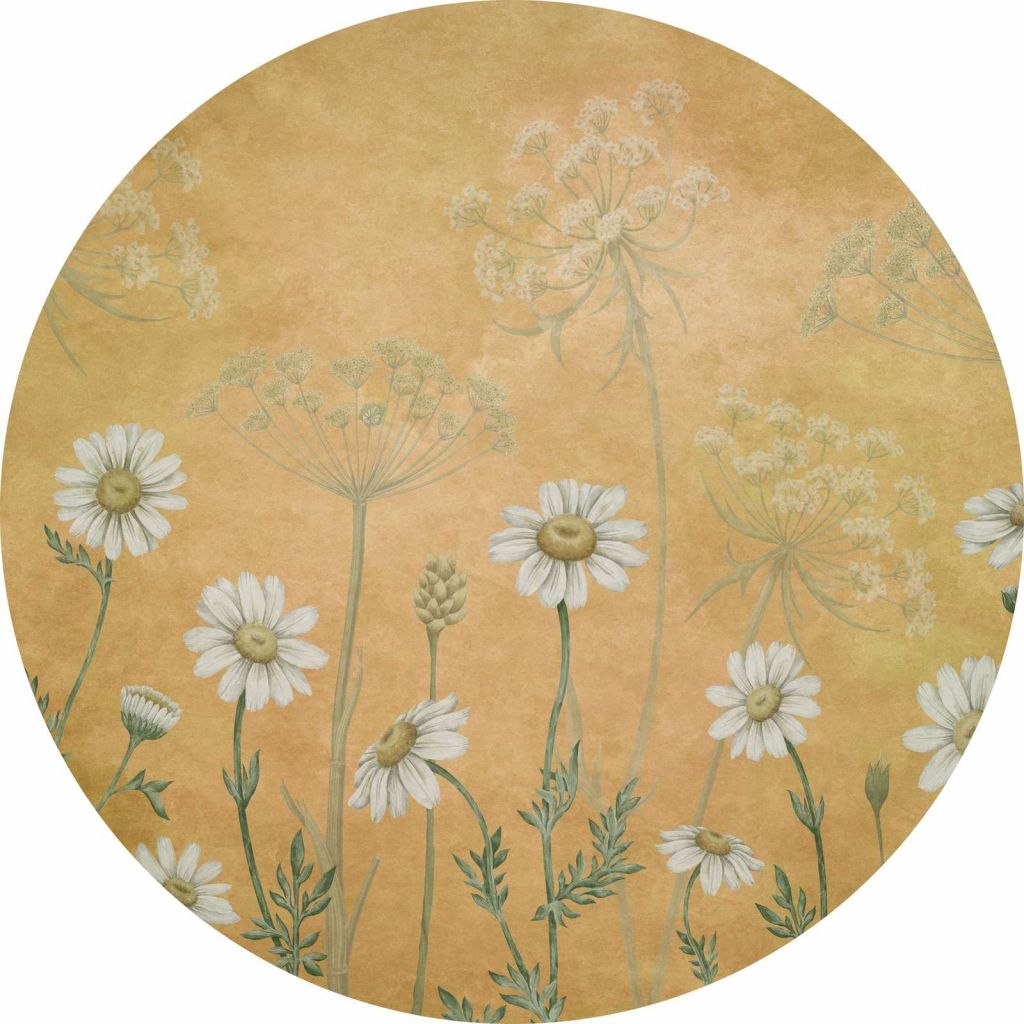 Dazzling Daisies - Yellow - Circle