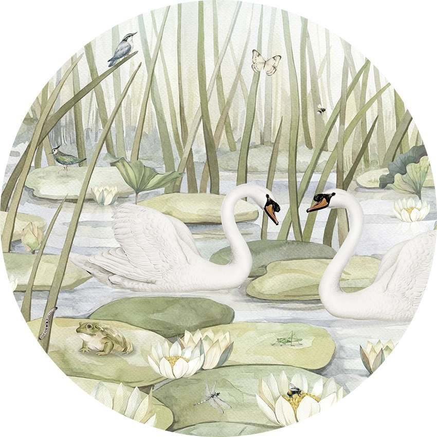 Spectacular Swans - Circle